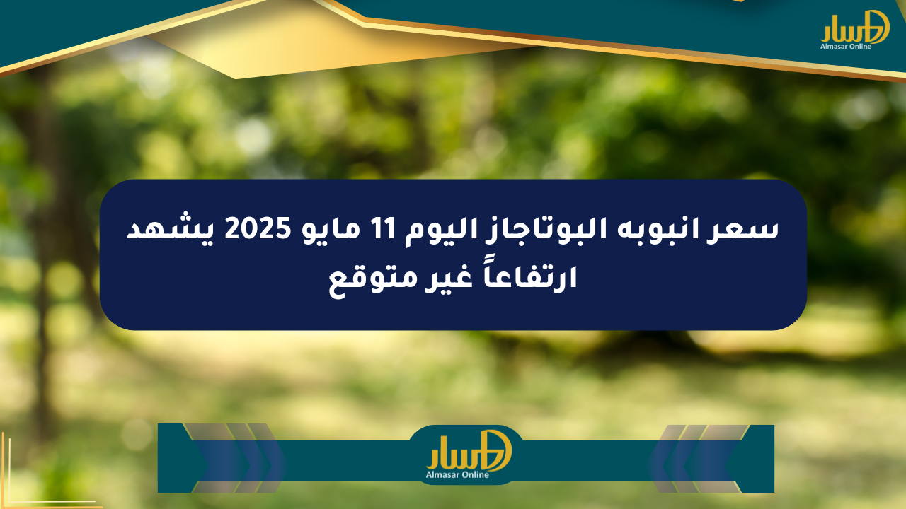 سعر أنبوبة البوتاجاز اليوم 11 مايو 2025 يشهد ارتفاعاً غير متوقع